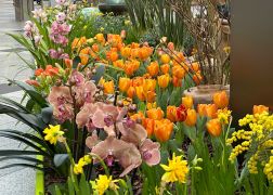 Fruehling In Der Goethe Galerie  Februar 2026 16